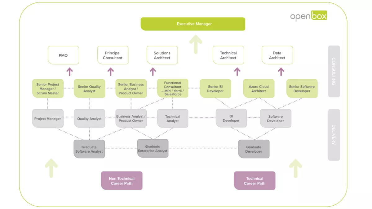 Grad Career path diagram